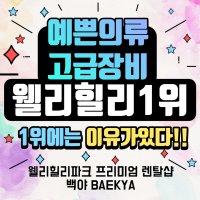 [당일사용가능]웰리힐리파크 렌탈샵 리프트권+장비 패키지