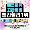 웰리힐리파크리프트권