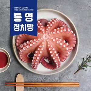 [산소포장] 최상급 통영 문어 자연산 돌문어 1kg
