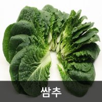 약수농장 쌈추 상 2kg