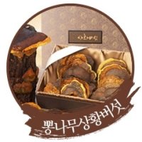 상황버섯 차가버섯 뽕상황버섯 효능 사돈댁 직장상사 명절선물