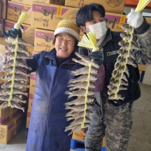 국내산 영광 굴비 법성포 굴비 20미 1두릅 1.2kg 1세트 반건조 굴비