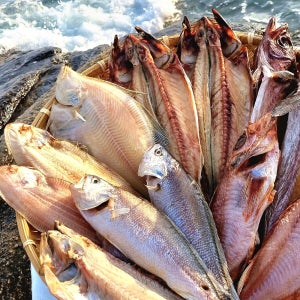 고퀄리티/ 신선함 / 속초 반건조 생선 임연수