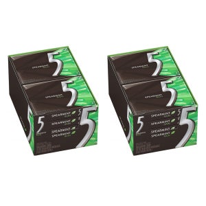 5 Gum 파이브 껌 15개입 20팩(총2박스) 스피어민트 레인 슈가프리 츄잉껌 Spearmint Rain Sugarfree Gum
