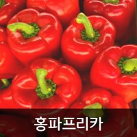 약수농장 홍파프리카 5kg