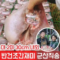 국내산 반건조 간재미 (가오리) 자연건조 대 2미 군산간재미 [군산해망동시장]