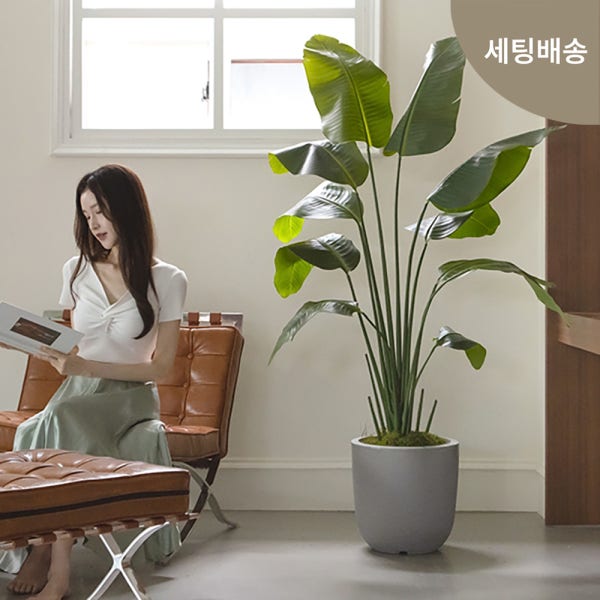 조화화분 SET 조화나무 대형 인테리어 개업 집들이선물 인조조경 사무실 회사 극락조100