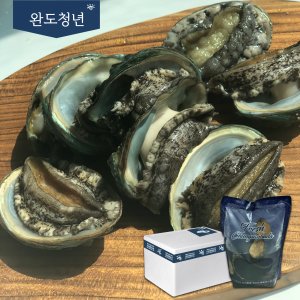 산지직송 완도 전복 18-20미 선물세트