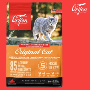 (1kg+소분팩) 오리젠 오리지날캣 5.4kg 캣앤키튼
