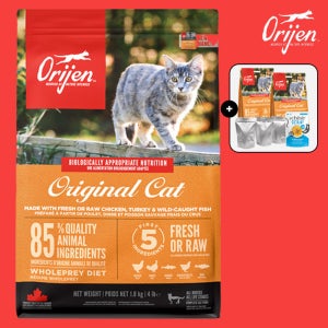 (680g+소분팩+갼식) 오리젠 오리지날캣 5.4kg 캣앤키튼