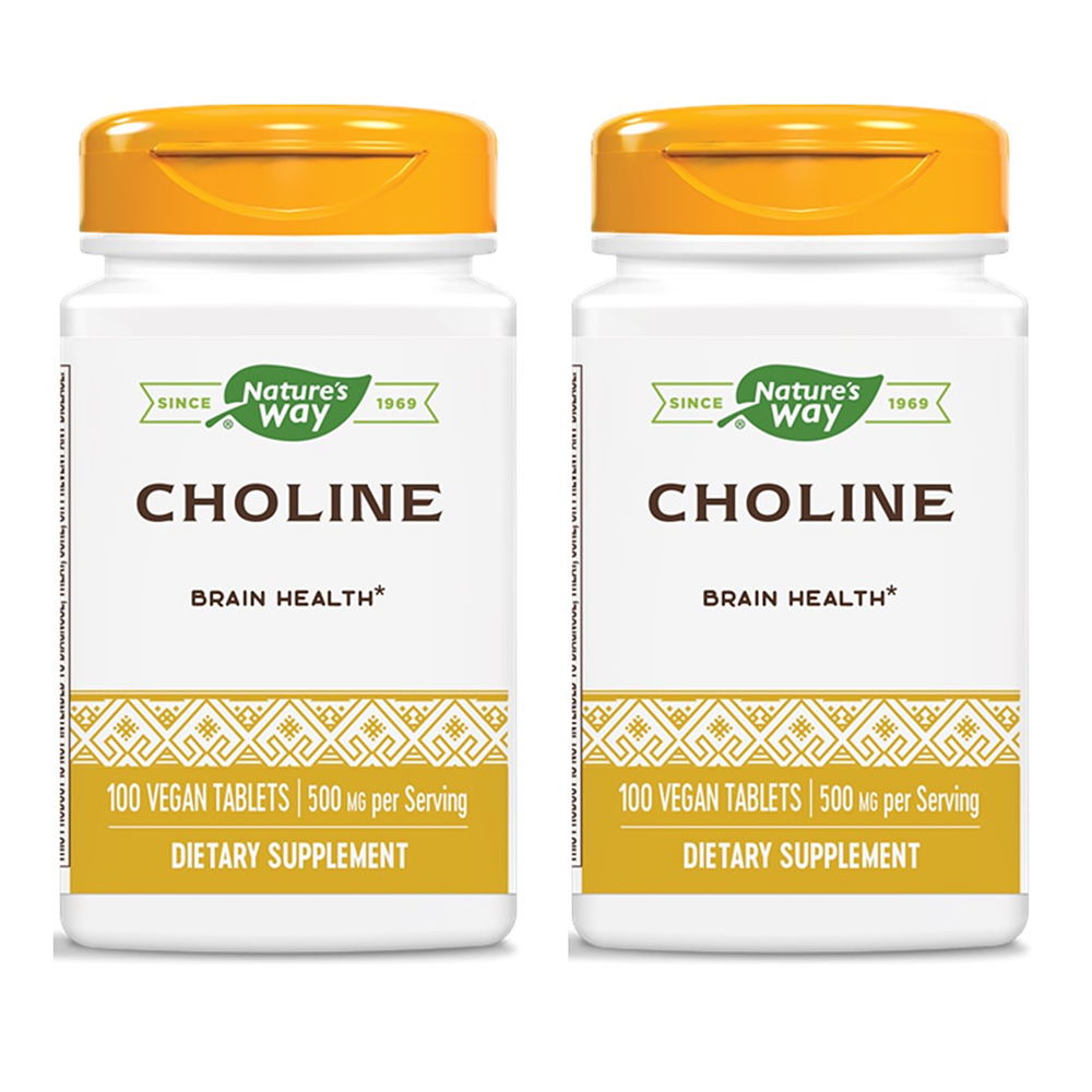 Nature’s Way Choline 네이쳐스웨이 콜린 500 mg 100 정 (2팩)