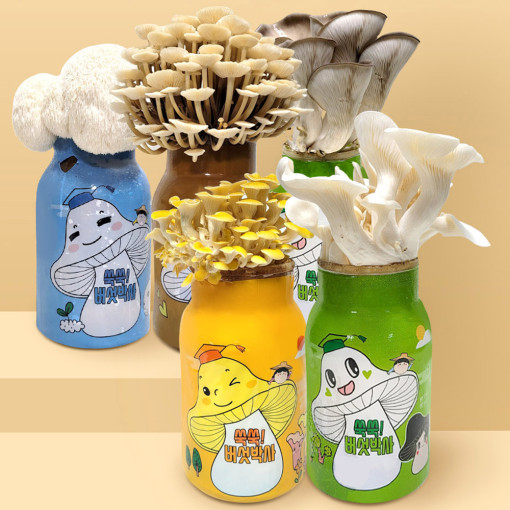 1+1 <b>버섯</b> 키우기 키트 세트 느타리 <b>노루궁뎅이</b> 팽이 <b>버섯</b> 유치원 학교 교육용