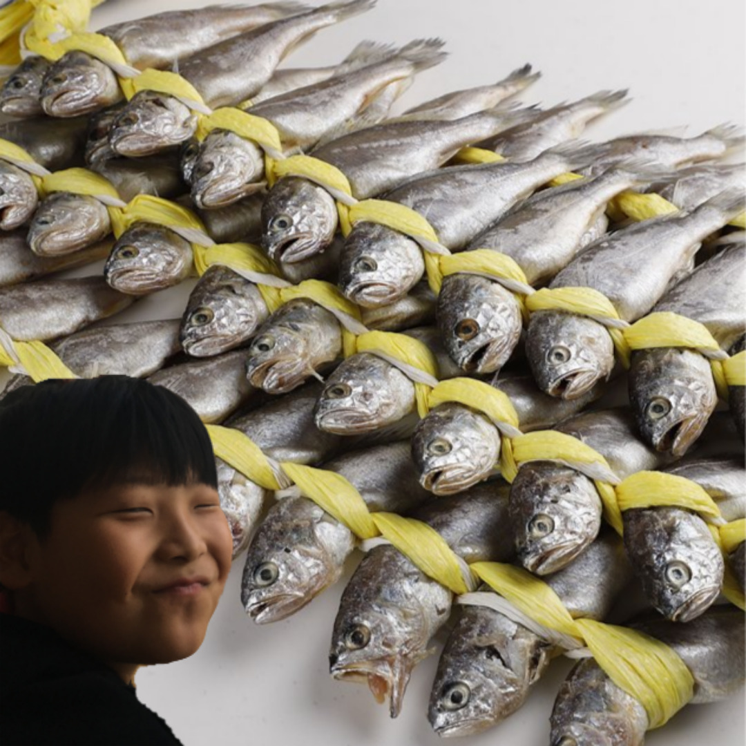 법성포 영광 참굴비 영광굴비세트 20미1.6kg이상 산지직송