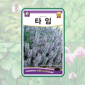 타임 5g (6만립) 서양요리에 필수 상큼한 소나무향의 허브 씨앗 다농 허브류