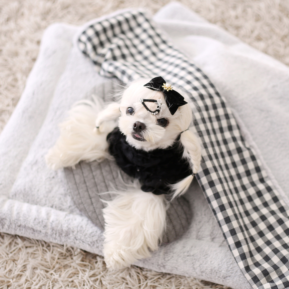 강아지방석 애견쿠션 겨울 유모차라이너 토퍼 그레이 소형