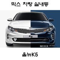 뉴믹스 LDE 실내등 전방등 중앙등 차튜닝 미등 올뉴K5