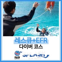 제주도 스쿠버 다이빙 제주도스킨스쿠버 [스플래시 전용보트 PADI 레스큐다이버코스]