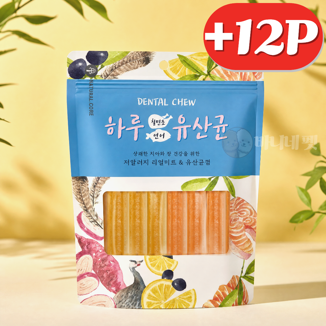 [+12p] 하루유산균 덴탈껌 양치 강아지간식 개껌 치석제거 미트혼합