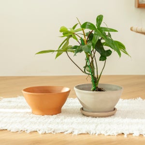 데팡스 데로마화분 테라코타 이태리토분 23cm