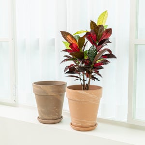 데팡스 데로마화분 테라코타 이태리토분 22cm