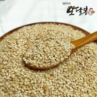 참깨 국산 깨 통깨 생참깨 통참깨 5kg (2022년산)