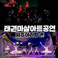 제주 태권 마샬아트 아리랑혼 / 제주도 실내 공연 아리랑공연