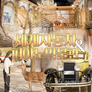 제주 세계자동차&피아노박물관 / 제주도 여행 자동차 어린이 체험 실내 관광지 교육 사슴