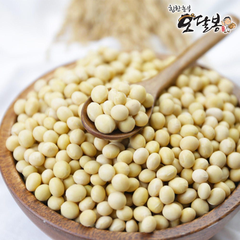25년산 국산 백태 메주콩 콩국수용 대원콩 3kg, 1개