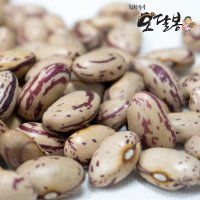 호랑이콩 수입 강낭콩 울타리콩 매화콩 2kg (2022년산)