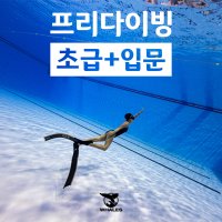 프리다이빙 강습 입문+초급 자격증[대구,울산,포항]