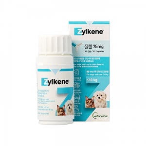 질켄 75mg 30정 고양이 분리불안 고양이 스트레스 완화