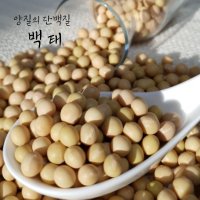 국산 백태2kg 메주콩 콩국수콩 두부콩 2022년 고창군