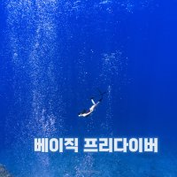 [숨비] 프리다이빙 원데이 입문 자격증 강습 서울/수원 체험 아이다 아피아 패디