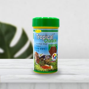 트로피칼 카라신 100g 물고기 밥 열대어 사료 작은 먹이 아쿠아 펫 발색력 수질 개선 고단백 영양 관상어