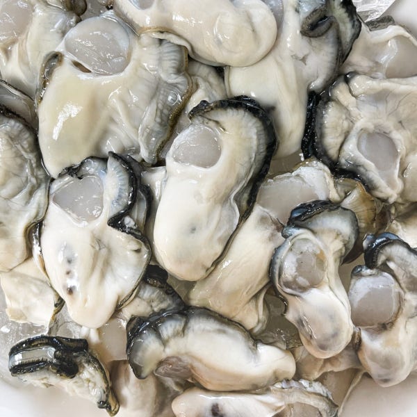 통영 일등 굴 제철 깐굴 생굴 1kg