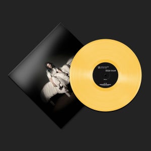 빌리아일리시 - When We All Fall Asleep, Where Do We Go LP