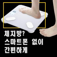 인바디체중계 체지방체중계 디지털 바디플 다이소 아님