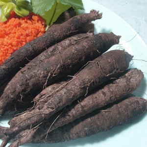 제주 생더덕 선물세트 1.2kg (20-25뿌리)