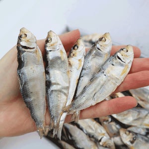 동해청정 밴댕이 디포리 건밴댕이 육수용 멸치 1.5kg