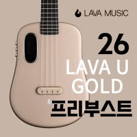 라바유 26 프리부스트 골드 LAVAU 26Inch GOLD FreeBoost