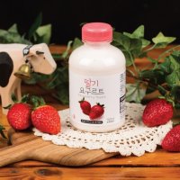 대용량 유산균 요구르트 500ml 딸기 이플목장