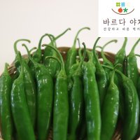 바르다야채 맛있게매운 국내산 청양고추(특) 10kg(1박스) (매운고추),(특)