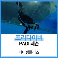 [다이빙플러스] PADI 베이직 프리다이버 레슨 (청주, 대전)