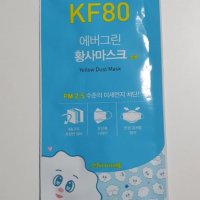 에버그린 황사마스크 소형 KF80 (1개입)