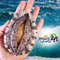 산지직송 완도전복 1kg 12마리 대형 선물용 완도활전복 산소해수포장