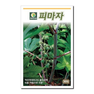 다농 피마자(아주까리) 씨앗 30립