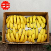 [가락시장 경매 식자재 과일][필리핀] 바나나 13.5kg/box 6수