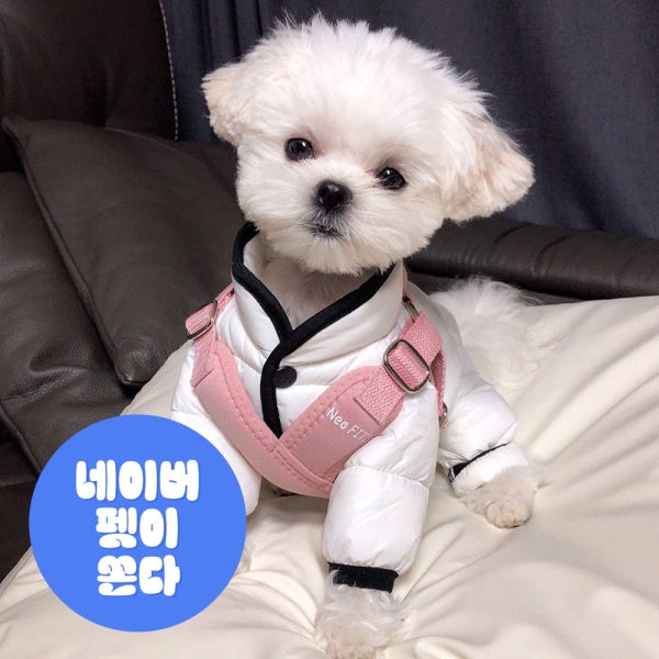 강아지 하네스 가슴줄 네오핏 에어 X 애견 X자 X형 소형견 중형견