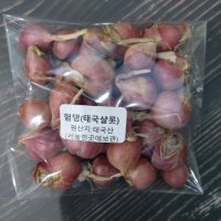 험댕 200G 샬롯 태국 SHALLOT 보라양파