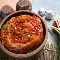 전라도 포기김치 맛김치 김장 주문